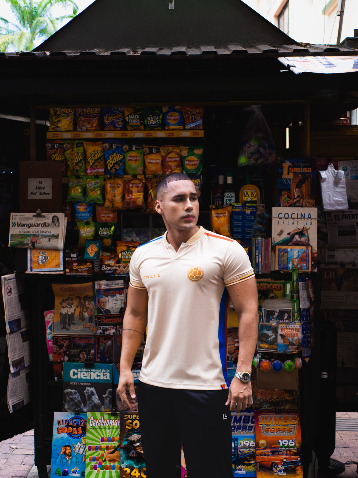CAMISETA TRICOLOR - Dwell
