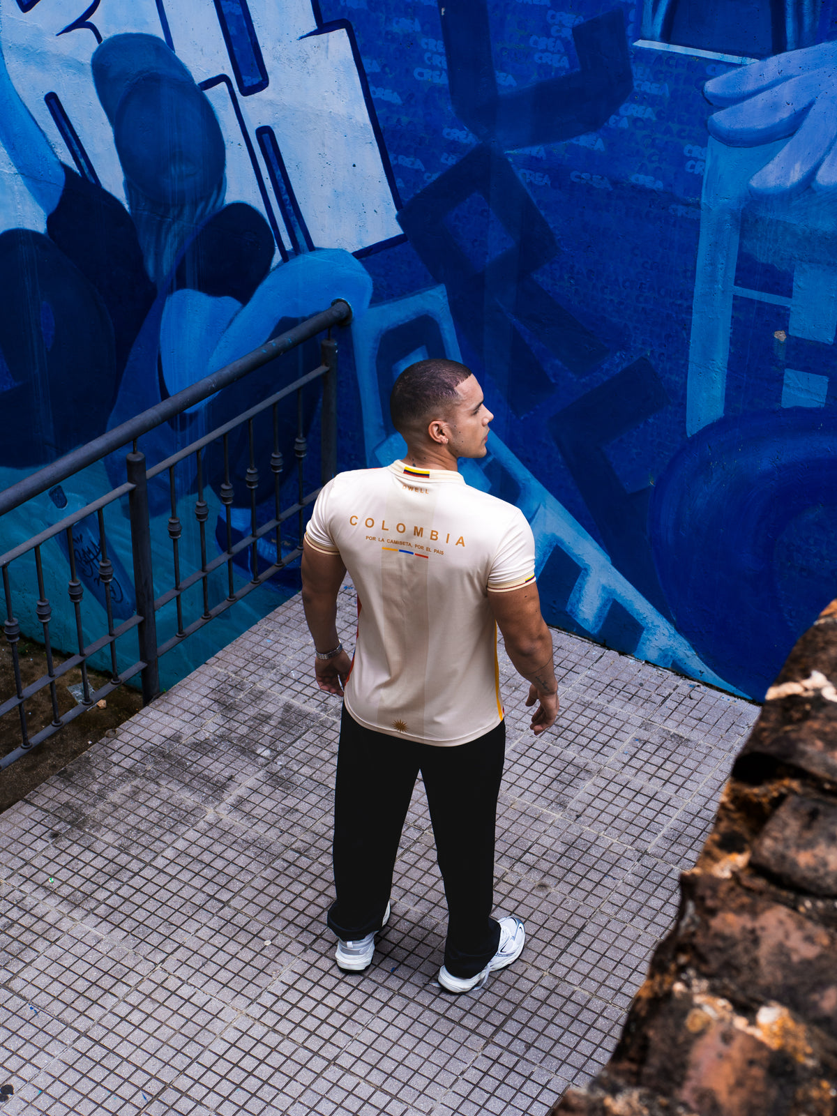 CAMISETA TRICOLOR - Dwell